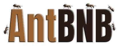 Property Management Gainesville Florida