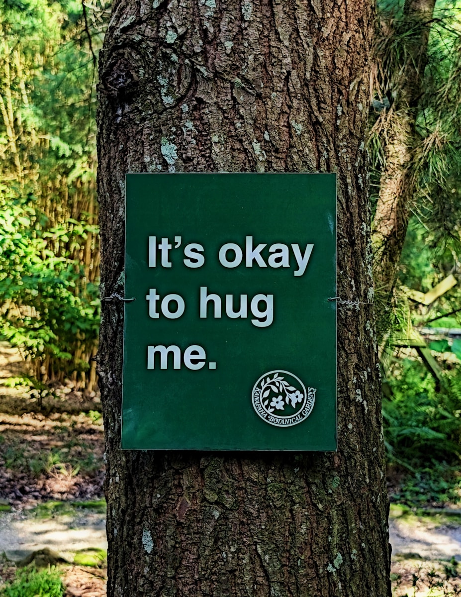 A sign on a tree that says it's okay to hug me